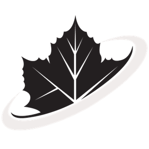 Maple Windows Logo